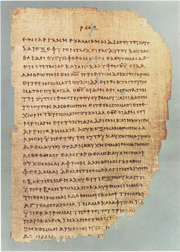 papyrus46 big.jpg